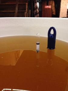 Primary Fermentation of the Riesling is complete and ready for racking to the secondary.