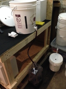 Back to the Icewine.....here we rack the wine off the sediment in the Primary Fermenter to our 3 gallon Better Bottle carboy for the secondary fermentation.
