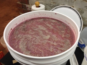 Must becomes wine as the yeast is pitched!