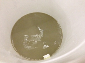 Bentonite mixed and dissolved in hot water.