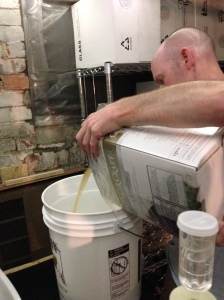 Kevin adds juice concentrate to fermenter.